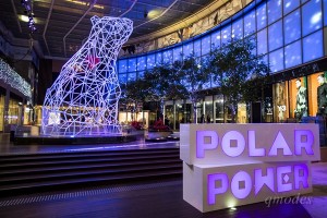 Polar Power_night 1_resized