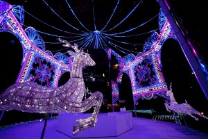New Town Plaza_Starlight Romance_光轉木馬樂園