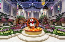 金光大道度假區推出「體驗夢工場」功夫熊貓開年盛宴共迎新春