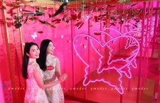 華懋集團商場【亮影花蝶喜迎春】