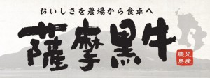 Satsuma Kuroishi 1903 qmodes002